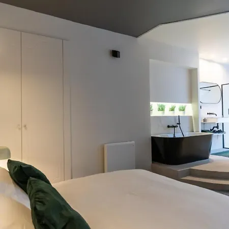 Apartment Simone Hypercentre Ultra De Gamme Saint-Etienne (Loire)